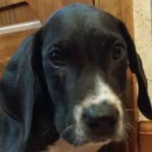 Meet your Posher, Ethan